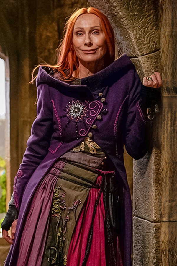 Rapunzel und die Rückkehr der Falken (2023) 0