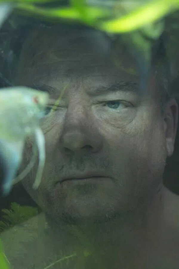 Herbert (2015) 0