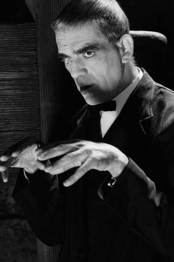 Der Rabe (1935) 0