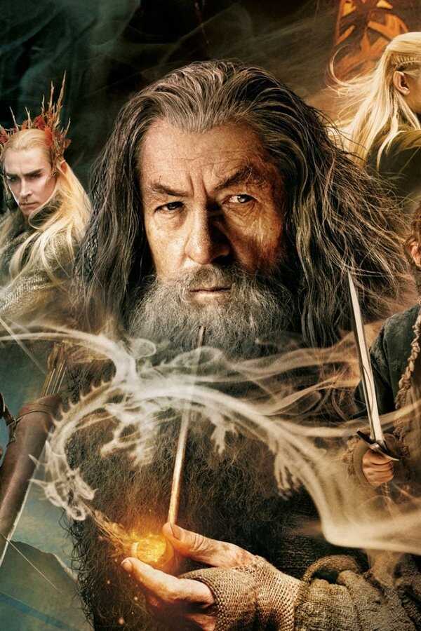 El hobbit: La desolación de Smaug (2013) 0